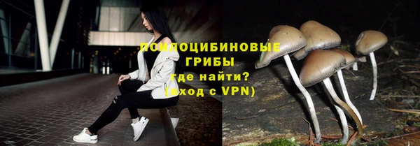 винт Алексин