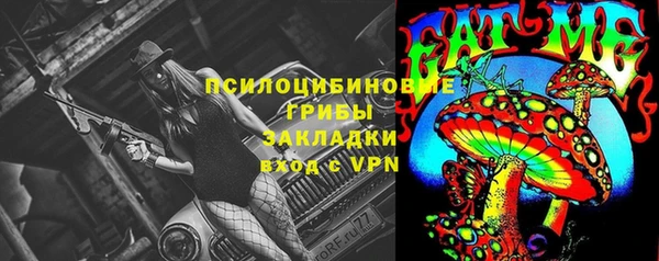 соль ск Алексеевка