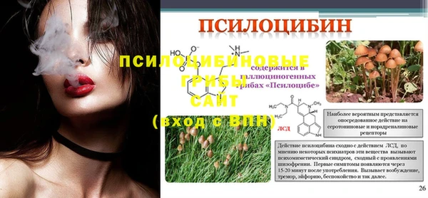 винт Алексин