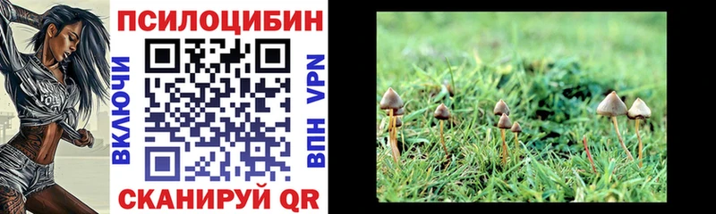 сколько стоит  Алзамай  Галлюциногенные грибы мицелий 